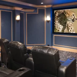 Home Theater